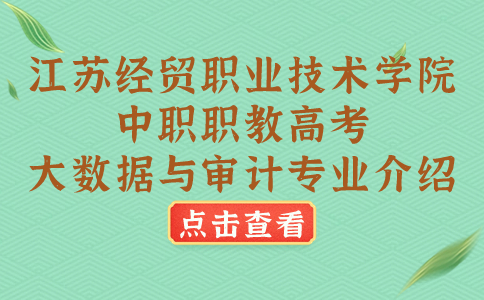 江苏经贸职业技术学院中职职教高考大数据与审计专业介绍