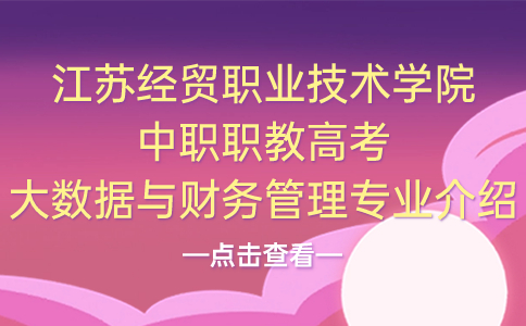 江苏经贸职业技术学院中职职教高考大数据与财务管理专业介绍