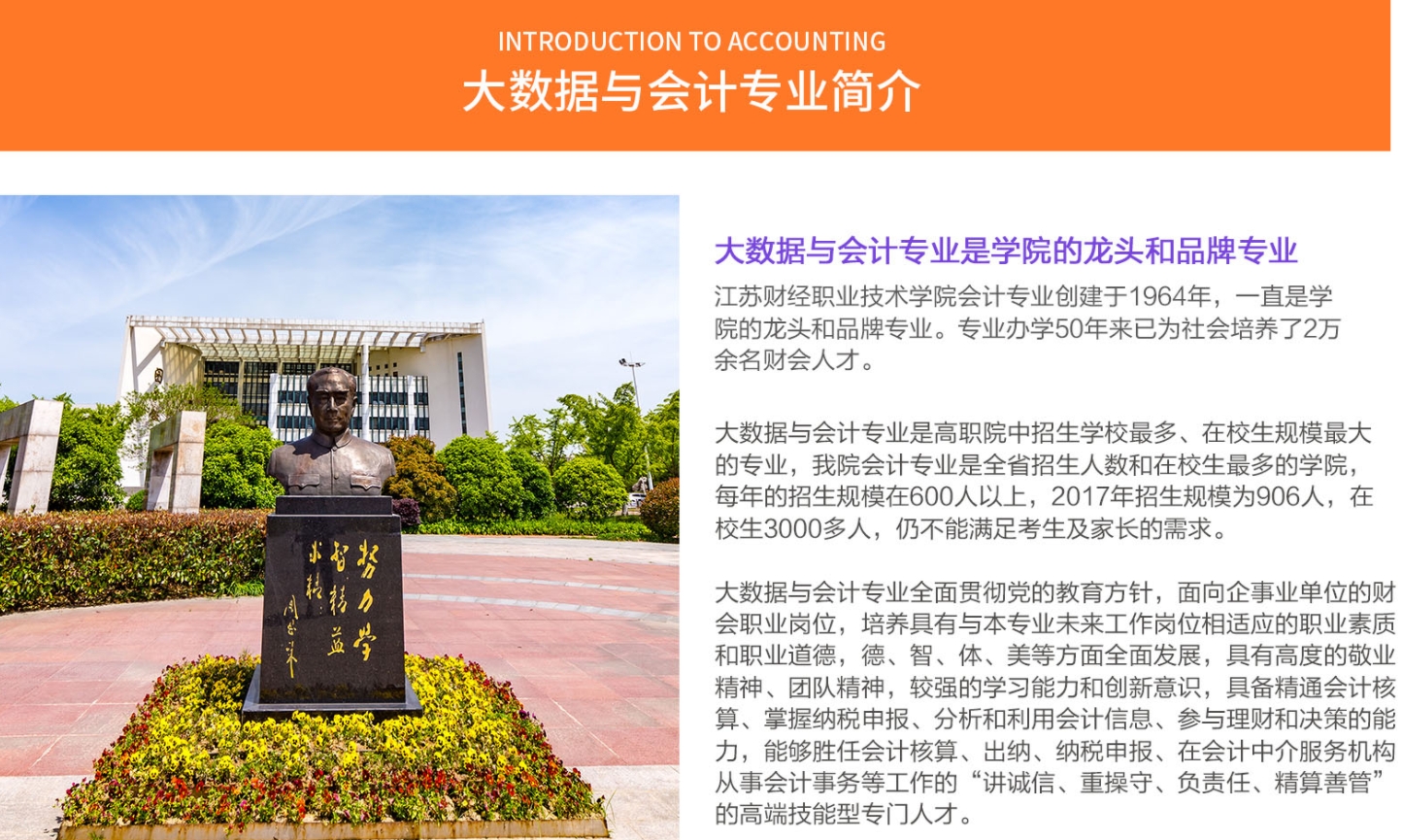 江苏财经职业技术学院单招大数据与会计专业