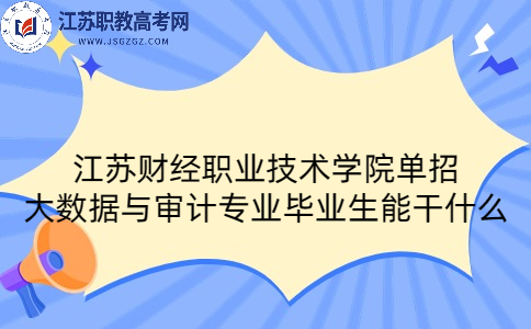 江苏财经职业技术学院单招大数据与审计专业毕业生能干什么